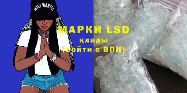 тгк Новодвинск