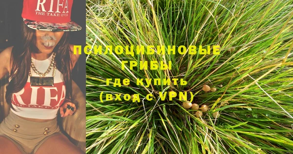дживик Коряжма