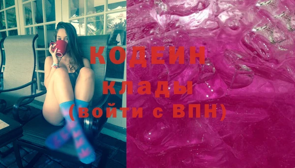 хмурый Алзамай