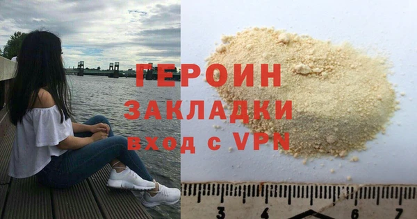 сатива Новозыбков