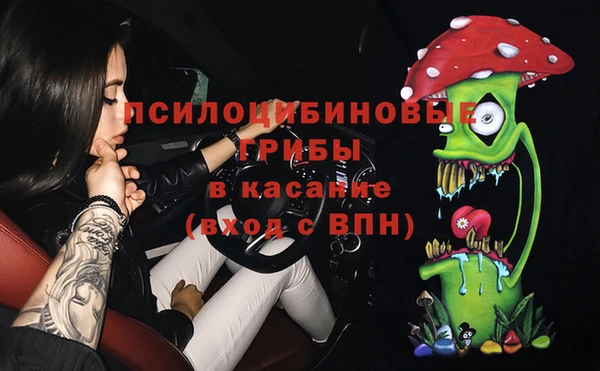 хмурый Алзамай