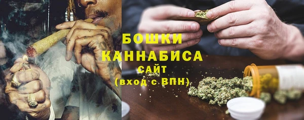 сатива Новозыбков