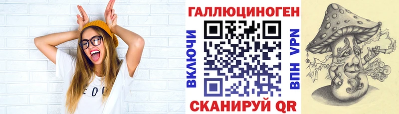маркетплейс Telegram  Кукмор  Галлюциногенные грибы Psilocybe 